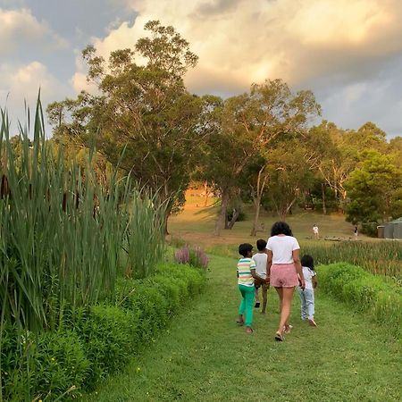 Iluka Retreat Glamping Village 레드힐사우스 외부 사진