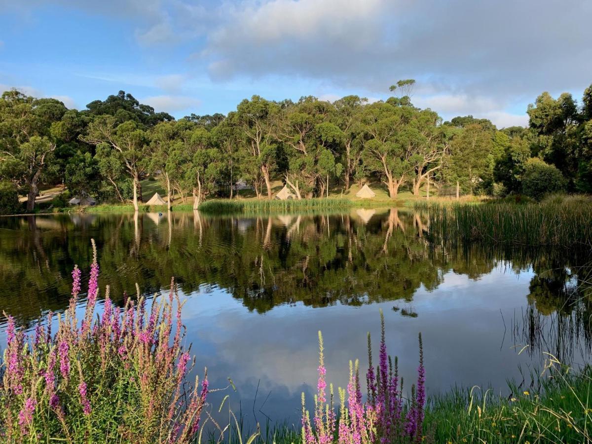 Iluka Retreat Glamping Village 레드힐사우스 외부 사진